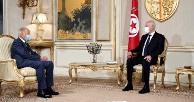 أبو الغيط: الرهان على الشعب التونسى فى مواجهة التدخلات الخارجية