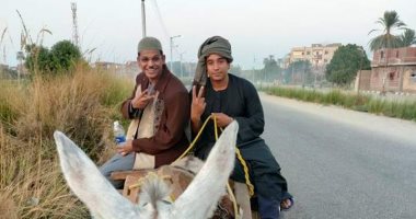 حكاية شابين قررا الانطلاق فى رحلة من الأقصر للقاهرة بعربة كارو.. فيديو وصور