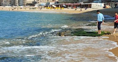 مباشر من شواطئ الإسكندرية.. الشتا وصل وعروسة البحر المتوسط بقت أحلى (فيديو)