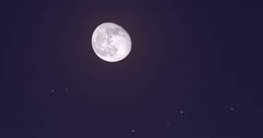 الأحدب قرب نجم الدبران الأحمر الليلة فى مشهد بديع يشاهد بالعين المجردة