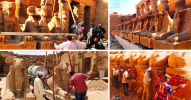 بأياد مصرية خالصة.. انتهاء عمليات ترميم 19 من كباش الكرنك.. الأمين الأعلى للآثار: أنقذنا الكباش من الدمار فى فناء الكرنك.. ومشرف المشروع: فريق مميز من الأثريين والمرممين والعمال حققوا معجزة جديدة.. فيديو وصور