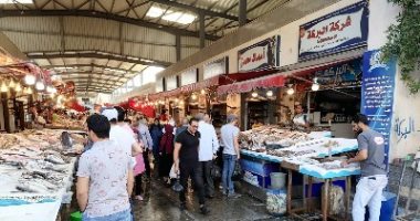 تعرف على السمك الطازج.. "البورى المبطرخ" الأبرز فى الشادر ببورسعيد.. صور