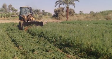 قنا تسترد 18 فدانا من أراضى الآثار و8 آلاف متر أملاك دولة بنجع حمادى.. صور