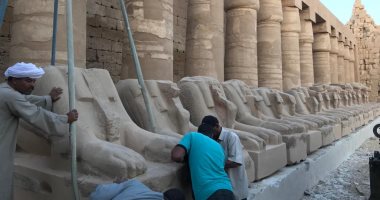 جولة داخل معبد الكرنك أثناء تطويره ومشهد مذهل للكباش بالأقصر.. لايف وصور