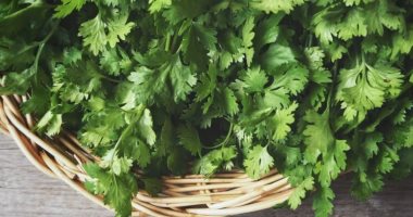 فوائد الكزبرة لصحتك عديدة.. منها تحسين صحة العظام وتقوية المناعة