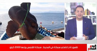 أضخم سمكة فى المحيط تظهر من جديد.. سمكة الشمس 2000 كيلو ولحمها سام.. فيديو