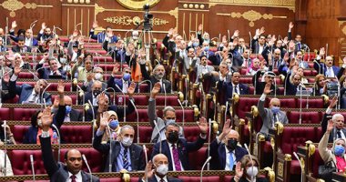 مجلس الشيوخ يحدد نطاق سريان أحكام قانون التخطيط العام.. اعرف التفاصيل.. صور