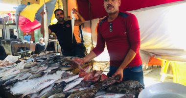 الجمبرى بـ 40 والخنزيرة بـ 30.. جولة فى سوق الأسماك بالسويس.. لايف وصور