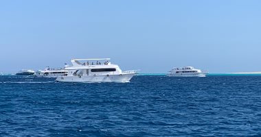 شاهد الرحلات البحرية المتجه لجزيرة الجفتون ومواقع الغوص بالغردقة.. صور وفيديو
