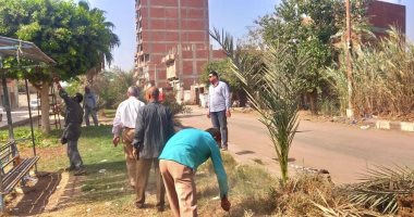 بدء تطوير ورفع كفاءة الجزيرة الوسطى بالطريق الدائرى بأشمون