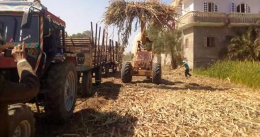 تحرير 153 محضر مخالفة بيئية لحرق المخلفات الزراعية بسوهاج.. صور