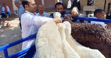 ضمن مبادرة حياة كريمة.. قوافل بيطرية مجانية تستهدف قرية دير الجنادلة بالغنايم ..صور