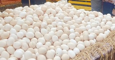 تموين الإسكندرية: طرح كميات من البيض بالمجمعات الاستهلاكية بأسعار تنافسية