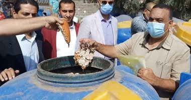 إغلاق مصنعين للمخللات ومكان تجهيز الطعام لمطعم شهير فى حملة صحية بالشرقية