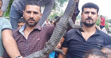 صيادان يعثران على تمساح أثناء صيدهما بقرية مطلة على النيل بكفر الشيخ