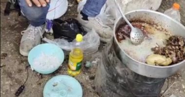 أكلة البشوات.. بيبيع العصفورة بجنيه ونص فى سوق الجمعة: "عشان كل الناس تاكل"