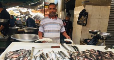 الشبار بـ12 جنيها والبورى بـ30.. انخفاض سعر السمك بالإسماعيلية.. صور