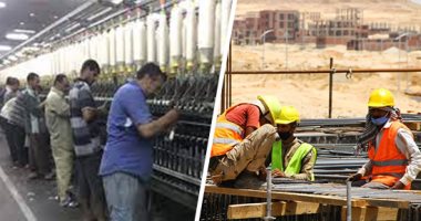 العمالة المصرية ضمن أولويات الجمهورية الجديدة.. منصة إلكترونية لتنظيم سوق العمل.. مراكز تدريب دولية لصقل المهارات.. وتوفير الحماية والحفاظ على حقوق المصريين بالخارج من خلال مكاتب التمثيل العمالى بالسفارات