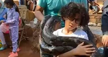 مش هتصدق عينيك.. الأطفال يلهون مع أضخم ثعبان بحديقة الحيوان "فيديو"
