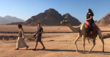 متعة رحلات السفاري على ظهور الجمال بين جبال ووديان سيناء.. ألبوم صور