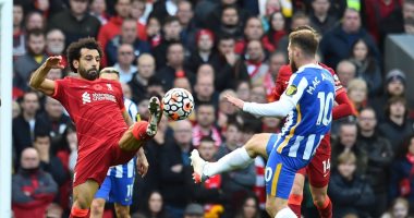 محمد صلاح يصنع فى تعادل ليفربول ضد برايتون 2-2 بـ الدوري الإنجليزي.. فيديو