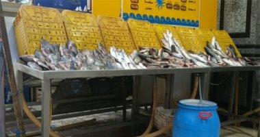 اعرف أنواع وأسعار وطرق طهي الأسماك فى مطروح .. لايف