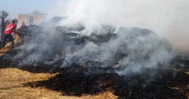 حريق في شونة خاصة لتربية المواشي بالشرقية..صور وفيديو
