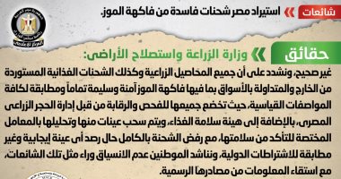 مجلس الوزراء ينفى استيراد مصر شحنات فاسدة من "الموز"