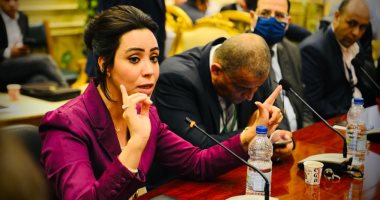 النائبة غادة على: المواطن شريك رئيسى فى القرارات الحكومية وتوعيته ضرورة حتمية