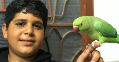 محمد أصغر بيطرى فى مصر.. طالب فى الإعدادية يخصص وقت فراغه بعد الدراسة للعمل فى عيادة بيطرية بالعريش لتوفير مصروفه.. يعشق الحيوانات والطيور ويبادر لمساعدتها وعلاجها.. فيديو وصور