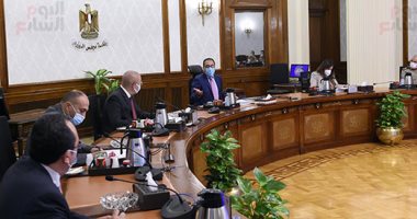 مجلس الوزراء يوافق على تشكيل مجلس تنفيذى لإحلال الواردات وتعميق المنتج المحلى