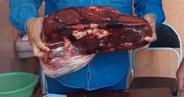 ضبط لحوم وأسماك مجهولة المصدر بحوزة مدير ثلاجة مواد غذائية فى الجيزة