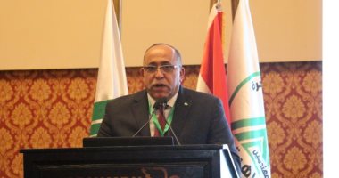 نقيب مهندسين القاهرة: قطاع البترول بذل مجهودات أسهمت فى القضاء على أزمة الكهرباء