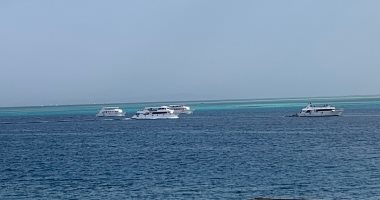 نشاط سياحى للرحلات البحرية ومواقع الغوص والجزر المختلفة بالغردقة.. صور