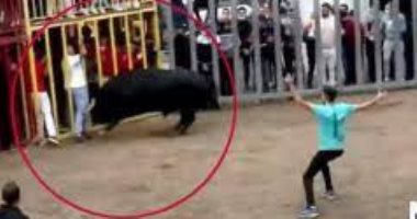 وفاة رجل 55 عاما بعد نطحة ثور فى مهرجان مصارعة الثيران بإسبانيا
