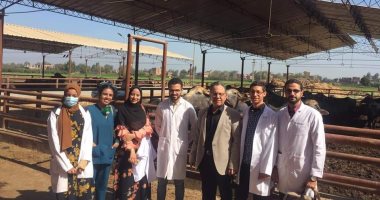تدريب عملى لطلاب طب بيطرى جامعة المنوفية بمزرعة الراهب