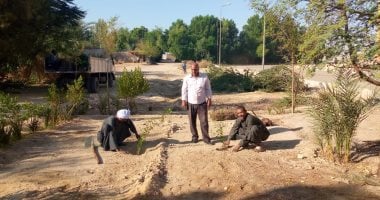 بالجهود الذاتية زراعة 100 شجرة مثمرة بقرية حاجر الضبعية فى الأقصر.. صور
