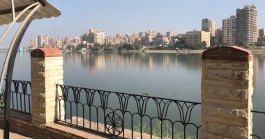 طقس الغربية الآن.. الشمس ساطعة ونشاط خفيف للرياح.. بث مباشر