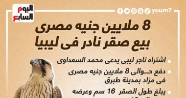 بـ8 ملايين جنيه مصرى.. بيع صقر نادر فى ليبيا (إنفوجراف)