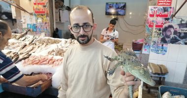 تمساح سوق السمك ببورسعيد.. وصل سعره 3 آلاف جنيه وصاحبه "مش هفرط فيه".. لايف