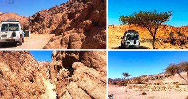 السحر والجمال ينساب بين شقوق الجبال ومسارات الوديان.. "محمية نبق" بجنوب سيناء لوحة طبيعية تجذب مشاهديها من عشاق الصحراء.. تشققات وكهوف وتلال رملية وأشجار تنمو بأماكن متفرقة أبرز مناظرها الخلابة.. صور 