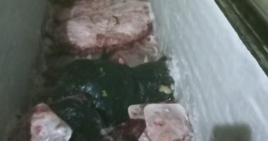 ضبط مزرعة تذبح الحمير وتفرم لحمها قبل توزيعها على المواطنين بالإسماعيلية.. صور