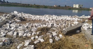استرداد حق الشعب.. محافظات مصر تواصل الحرب على التعديات.. إزالة 175 حالة تعد على الأراضى الزراعية وأملاك الدولة بالمنيا.. وإزالة 4 حالات جنوب بورسعيد.. و27 حالة فى البحيرة.. ومحافظ الدقهلية يتابع أعمال الإزالة