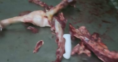 إخلاء سبيل المتهمين في واقعة "الحمير" بالإسماعيلية.. التفاصيل 