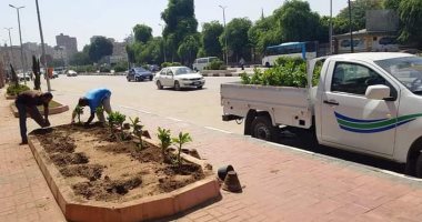 زراعة 490 شجرة بشوارع حي شرق سوهاج.. صور