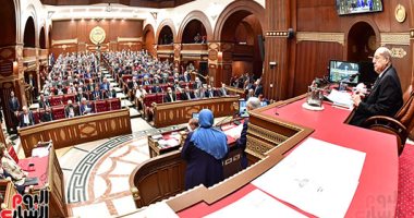 مجلس الشيوخ يوافق على إلزام وزارة التضامن بتوفير مرافق للمسن مقابل أجر