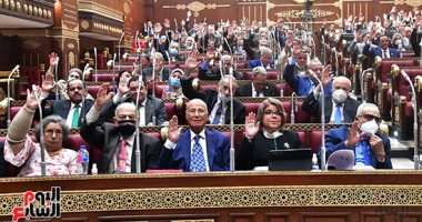 مجلس الشيوخ: الخطة القومية للتنمية المستدامة هى المرجعية الأساسية للحكومة