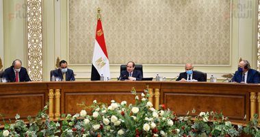 رؤساء شركات عالمية للرئيس السيسي: مصر نموذج وقصة نجاح يحتذى بها .. صور