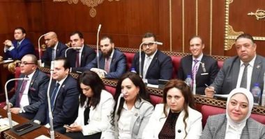 مجلس الشيوخ يوافق على تعديلين مقترحين من تنسيقية الأحزاب على قانون التخطيط