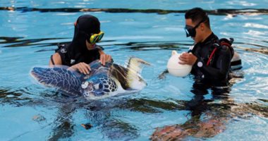 الغوص يتحدى كورونا.. الصين تصمم معرضا بحرياً للصور تحت الماء لتنشيط السياحة الداخلية
